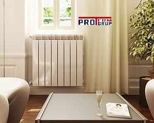 Radiator bimetalic la cel mai bun pret, reduceri.