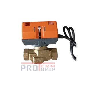 Vana cu 2 cai cu servomotor 1"FF TP40225B